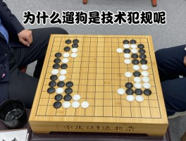 为什么遛狗是技术犯规呢,它在围棋中指什么,如何判定,处罚严重吗
