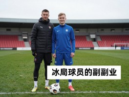 冰岛球员的副业,为何需要多重职业,如何平衡足球与副业,有哪些成功案例