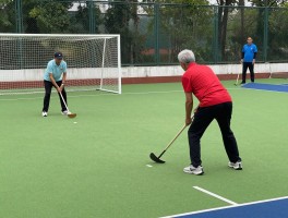 什么是门球什么是角球呢,两者有什么区别,门球角球哪个适合老年人