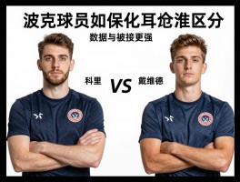 波克球员如何区分,科里与戴维德谁更强,最新数据与转会动态