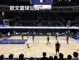 欧文篮球公园深度解析：街头篮球圣地何在，欧文如何推动篮球文化普及？