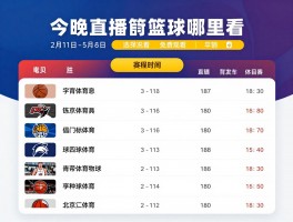 今晚直播篮球哪里看,如何选择平台,免费观看方法,赛程哪里查