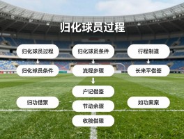 归化球员过程：归化球员条件是什么,流程步骤有哪些,成功案例如何借鉴？