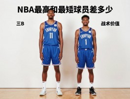 篮球最萌身高差｜NBA最高和最矮球员差多少，矮个子如何逆袭，身高差有什么战术价值