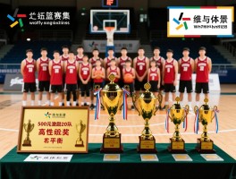 篮球赛奖品设置,如何用500元激励20支队伍,高性价比奖品有哪些,团体奖如何平衡