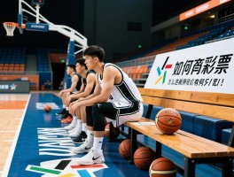 篮球板凳终极指南,替补球员如何逆袭,球场板凳怎么选,板凳训练有何妙用
