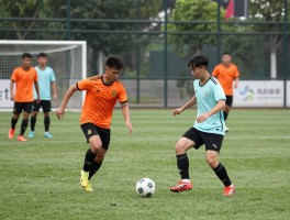 学习点球完全指南：如何系统掌握，高命中率秘诀是什么，日常怎么训练？