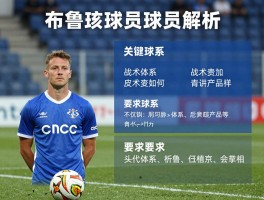 布鲁日球员解析：关键球员有哪些，战术体系如何，青训产出怎样