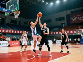 航哥篮球解读,如何系统提升篮球技术,民间赛事有哪些参与渠道,职业球员训练方法