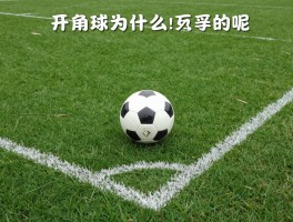 开角球为什么是圆的呢,足球场几何设计,角球战术原理
