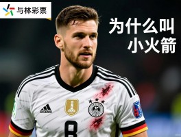 reus德国球员是谁,为什么叫小火箭,职业生涯成就与伤病情况