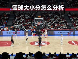 篮球大小分怎么分析,如何预测大小分,大小分看盘技巧