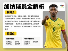 加纳球员全解析,加纳著名球星有哪些,加纳球员技术特点如何
