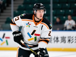 戴特字的球员,技术特点是什么,职业生涯经历如何,有哪些代表性比赛