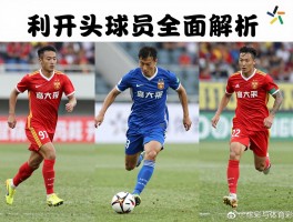 利开头球员全面解析：有哪些著名球星,职业生涯成就如何,现役谁最值得关注