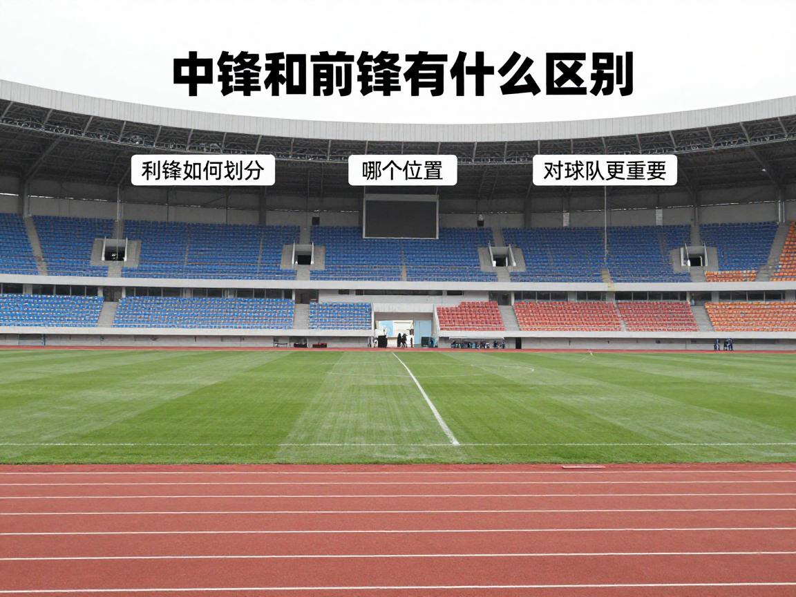 中锋和前锋有什么区别,场上职责如何划分,哪个位置对球队更重要,如何选择适合的位置 中锋和前锋有什么区别,场上职责如何划分,哪个位置对球队更重要,如何选择适合的位置
