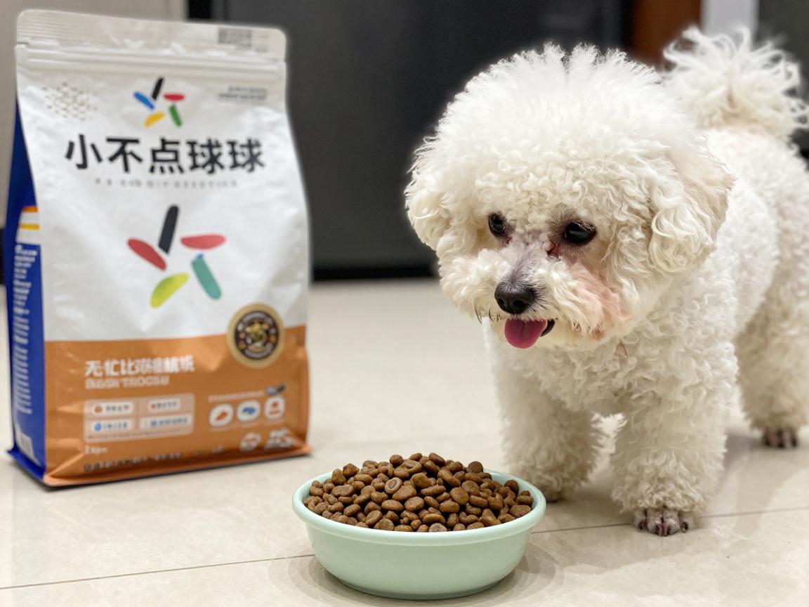 小不点球球,泰迪犬小不点怎么养,比熊犬球球吃什么狗粮,小狗挑食怎么办训练 小不点球球,泰迪犬小不点怎么养,比熊犬球球吃什么狗粮,小狗挑食怎么办训练