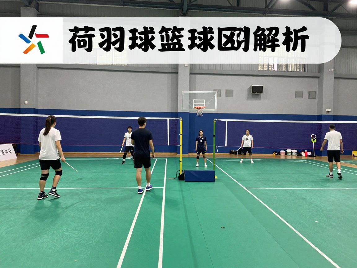 荷球篮球区别解析:为何荷球男女同场竞技,荷球篮筐为何更高,两种运动如何选择? 荷球篮球区别解析:为何荷球男女同场竞技,荷球篮筐为何更高,两种运动如何选择?