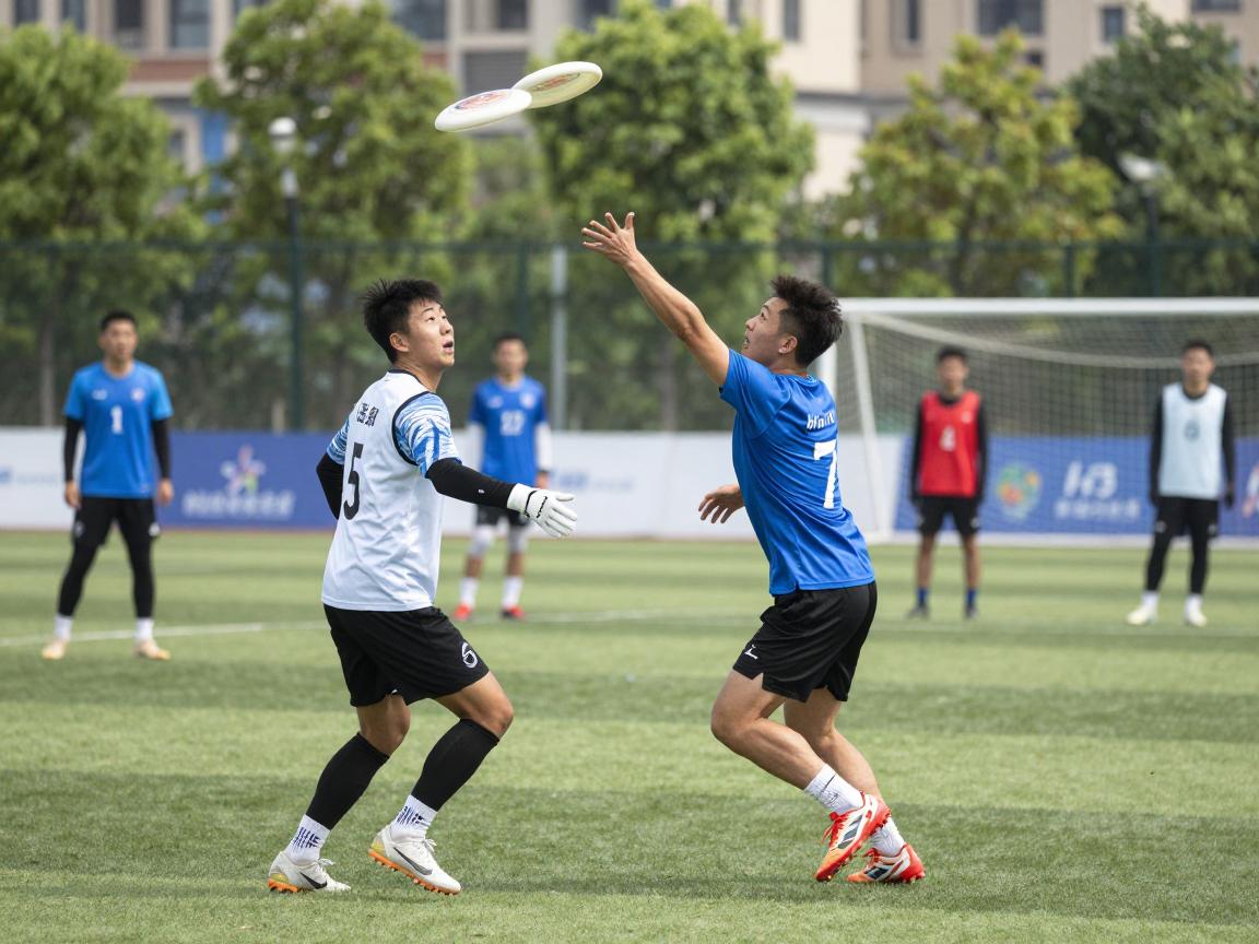 飞盘进攻有利战术全解析,如何创造破防侧机会,跑位技巧有哪些,攻防转换怎么把握 飞盘进攻有利战术全解析,如何创造破防侧机会,跑位技巧有哪些,攻防转换怎么把握