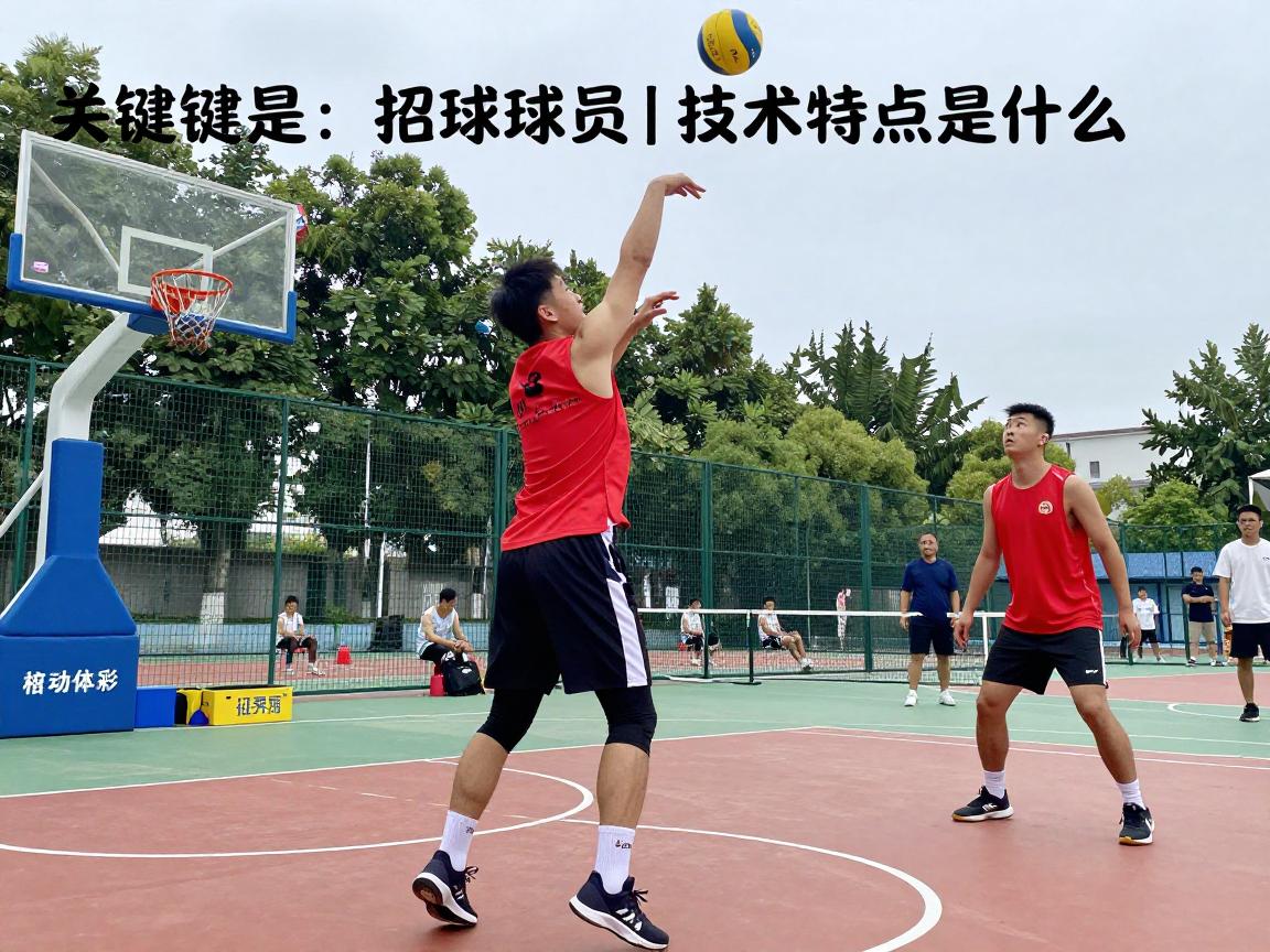 打球的球员丨技术特点是什么,训练方法有哪些,成功要素是什么? 打球的球员丨技术特点是什么,训练方法有哪些,成功要素是什么?