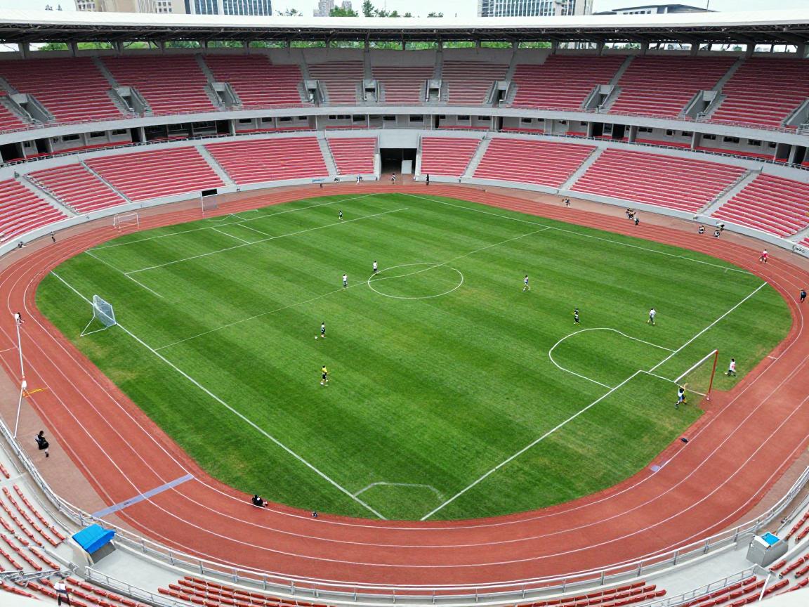 什么是直角球场和圆球场,直角球场有哪些运动,圆球场是什么形状,如何区分它们 什么是直角球场和圆球场,直角球场有哪些运动,圆球场是什么形状,如何区分它们