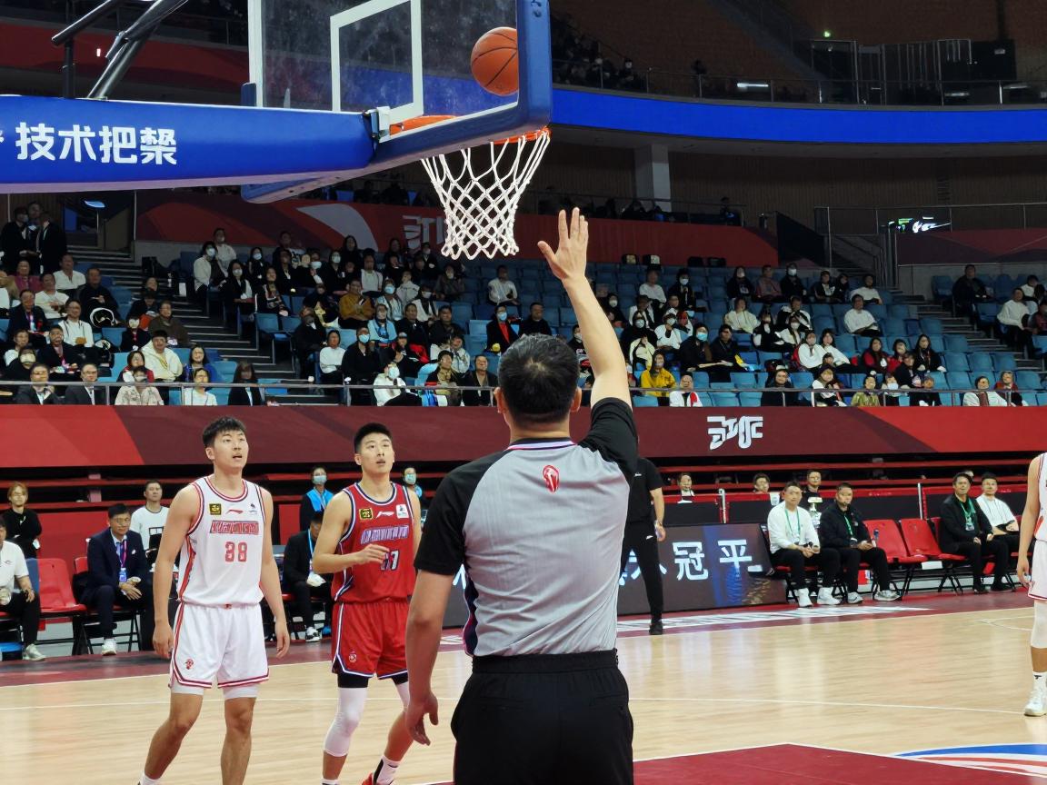 为什么拍篮板是技术犯规,哪些动作算技术犯规,裁判判罚标准是什么 为什么拍篮板是技术犯规,哪些动作算技术犯规,裁判判罚标准是什么