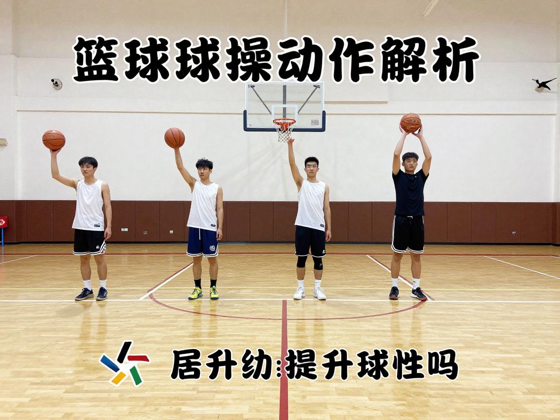 篮球球操动作解析:基本动作有哪些,如何分步骤练习,居家怎么锻炼,能提升球性吗 篮球球操动作解析:基本动作有哪些,如何分步骤练习,居家怎么锻炼,能提升球性吗