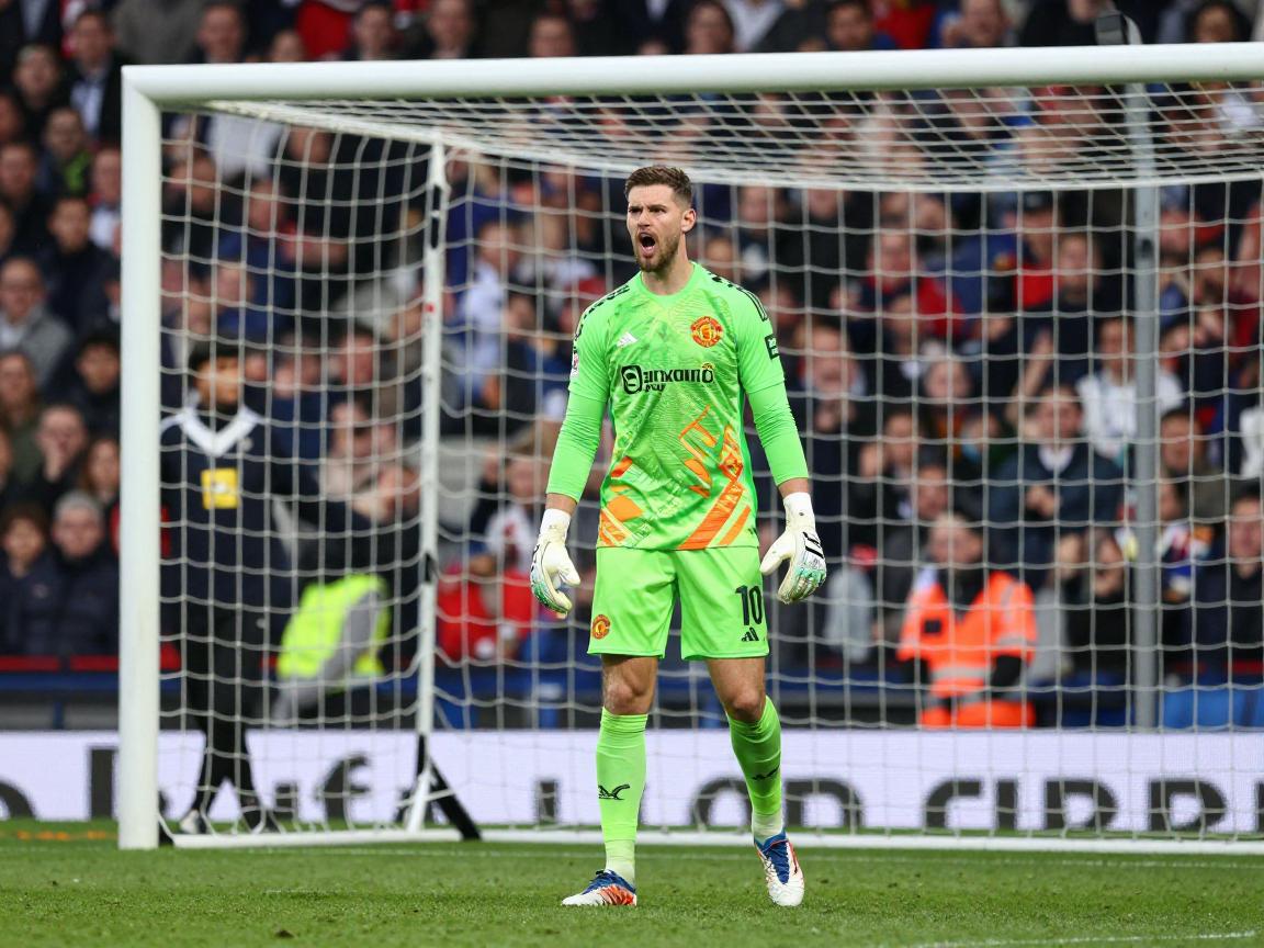 德赫亚球员生涯全解析,从曼联传奇到佛罗伦萨新篇章,守门技术如何练就? 德赫亚球员生涯全解析,从曼联传奇到佛罗伦萨新篇章,守门技术如何练就?