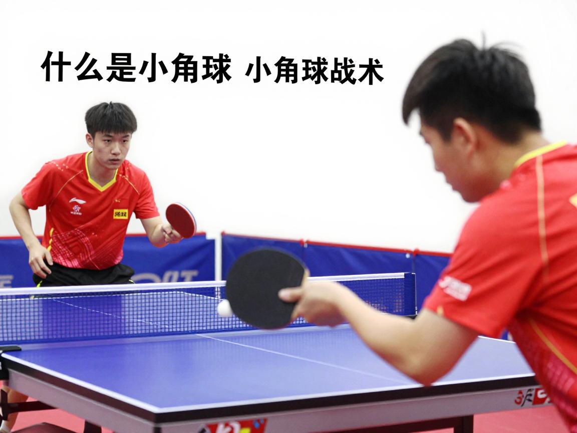 乒乓球什么是小角球,小角球怎么发,小角球战术如何运用 乒乓球什么是小角球,小角球怎么发,小角球战术如何运用