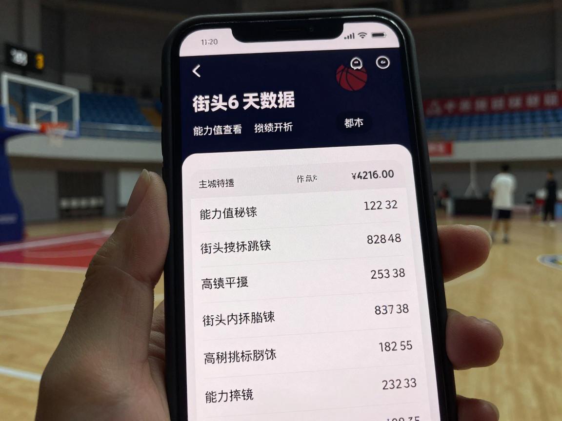 街头篮球怎么看数据,能力值查看方法,战绩查询技巧,数据分析秘诀 街头篮球怎么看数据,能力值查看方法,战绩查询技巧,数据分析秘诀